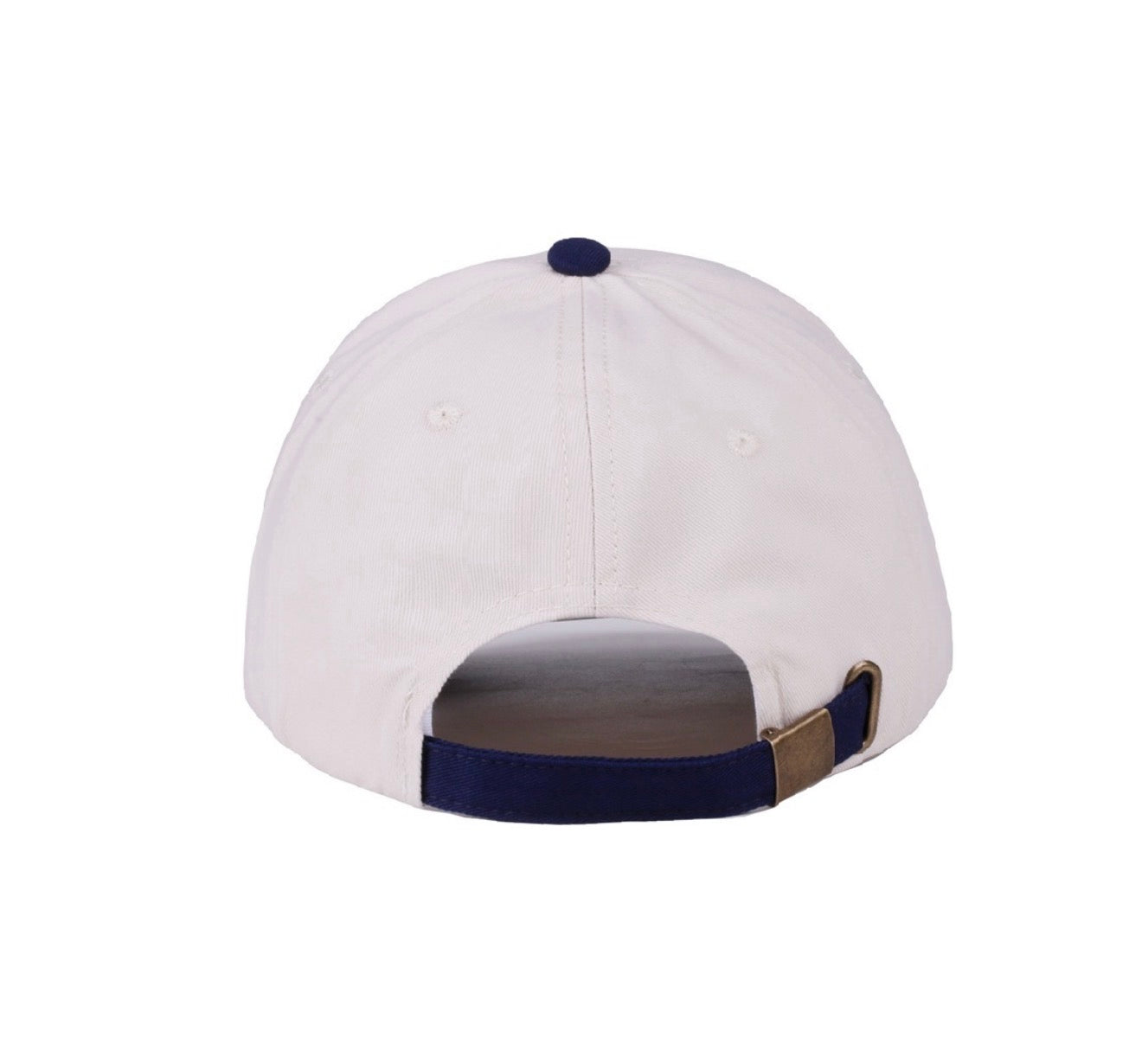 Panthers Game Day Canvas Hat