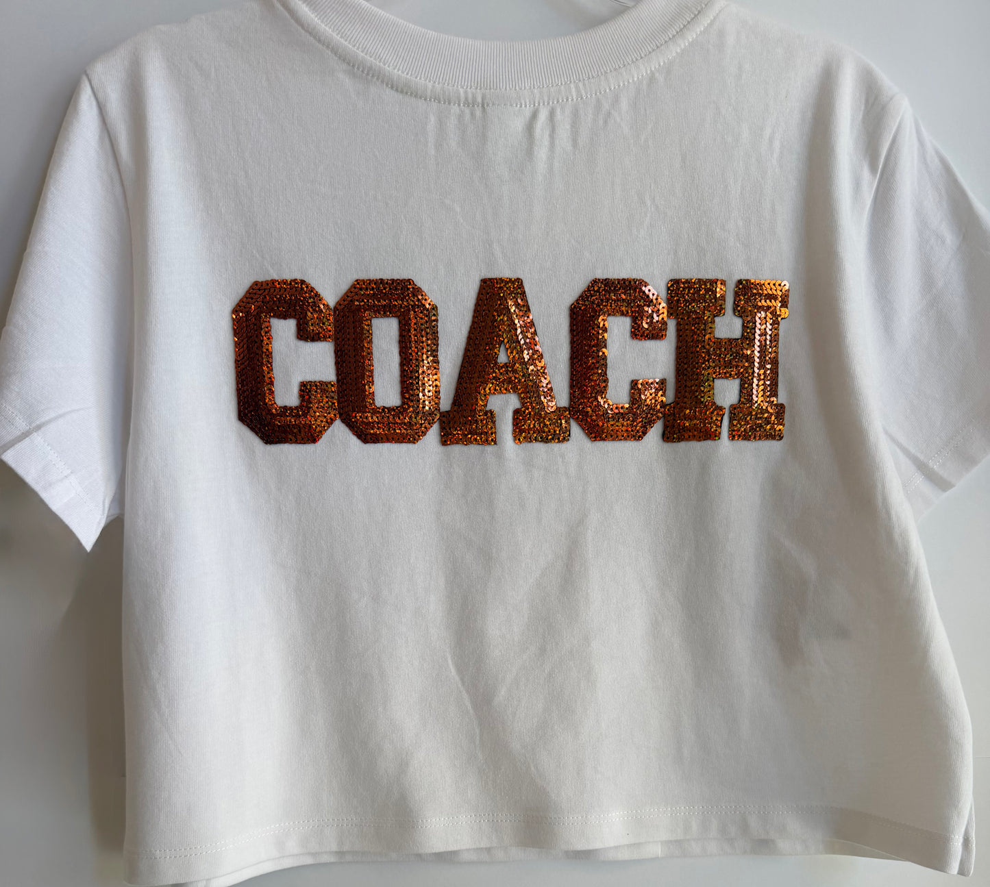 Crop Tee w/ Large Patch+2 Stars+5 Letters (Back)